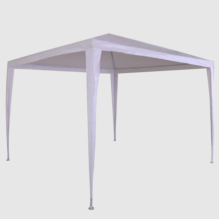 10 'x 10' Canopy Party